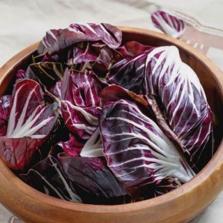 Indigo Radicchio Thumbnail